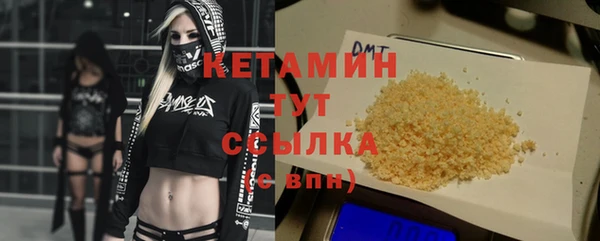 индика Нязепетровск