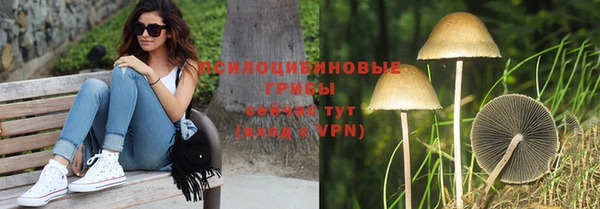 скорость Новокубанск